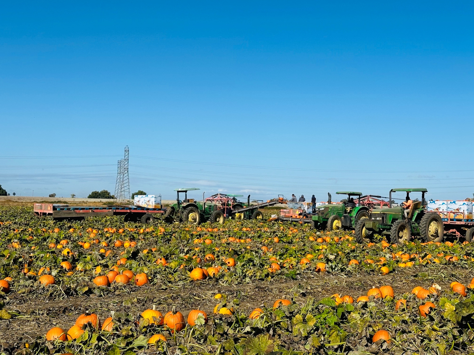 Harvesting