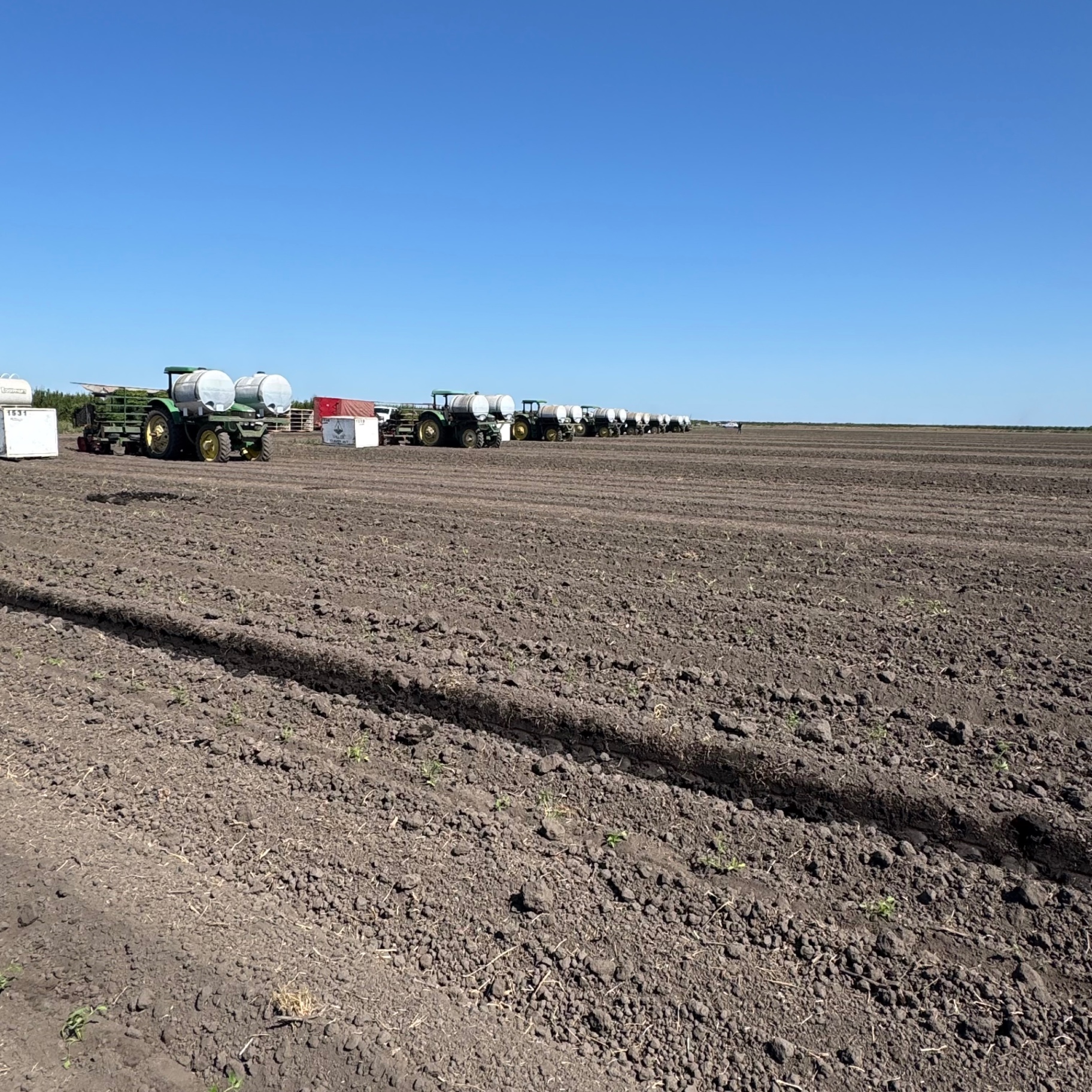 Tractor line-up staged at dawn before a planting run on freshly worked ground.